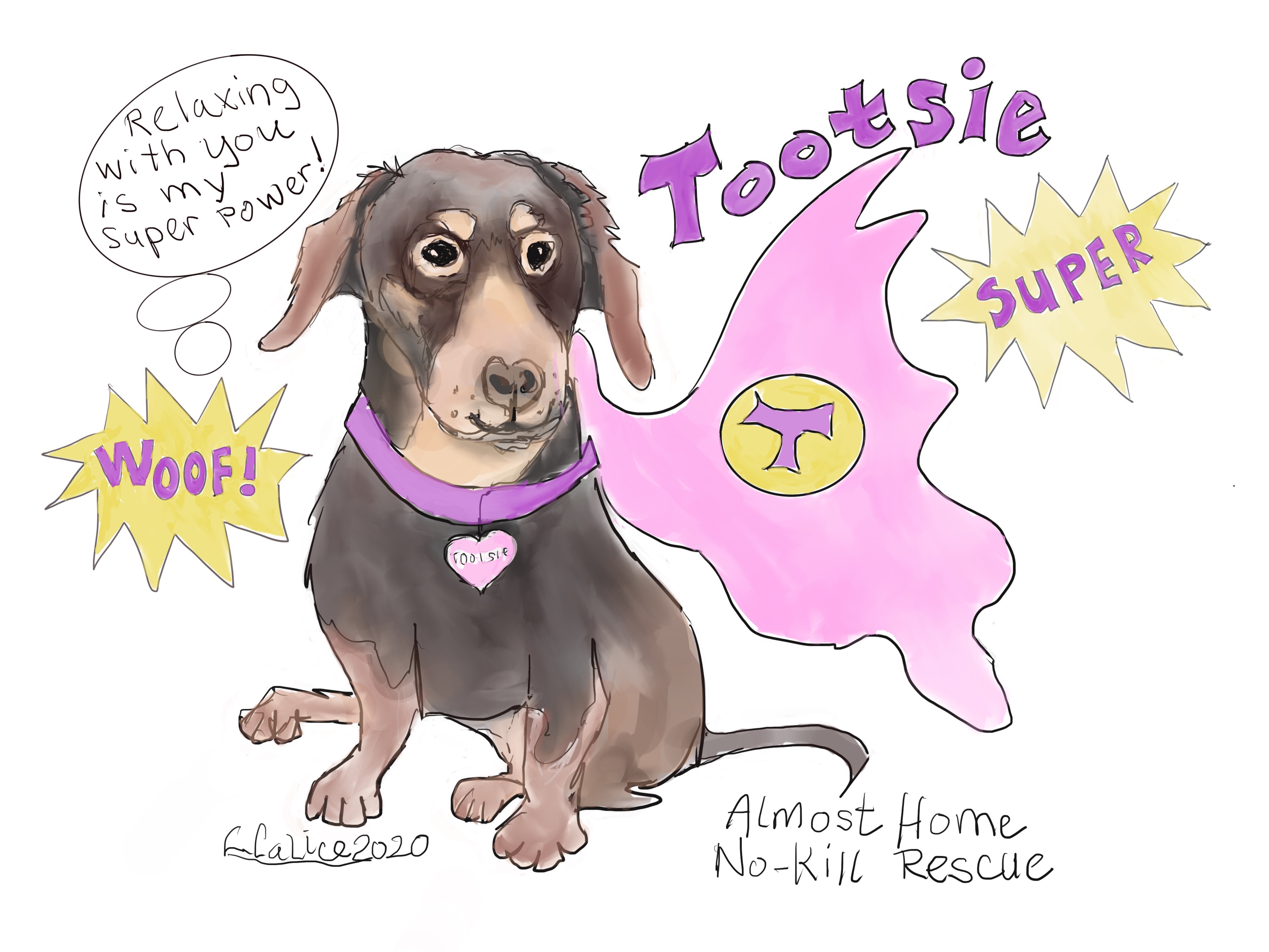 Love, Hope & Compassion…Celebrate Some Real- Life Rescue Pet Super ...